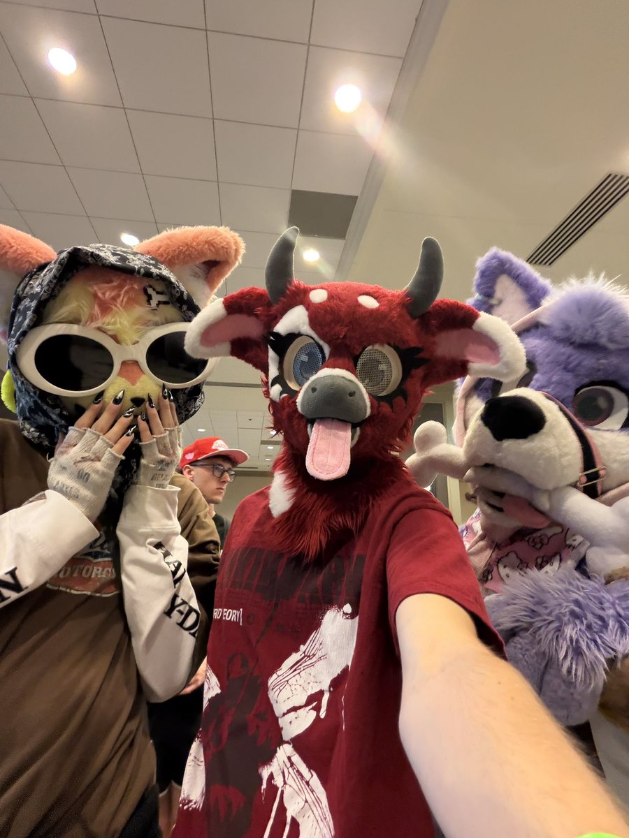 Bo_plap's tweet photo. Tff was somewhat chill https://t.co/pUHsaG4XxI