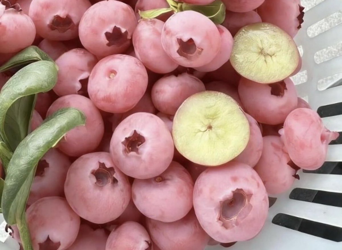 하이썸머 tweet media