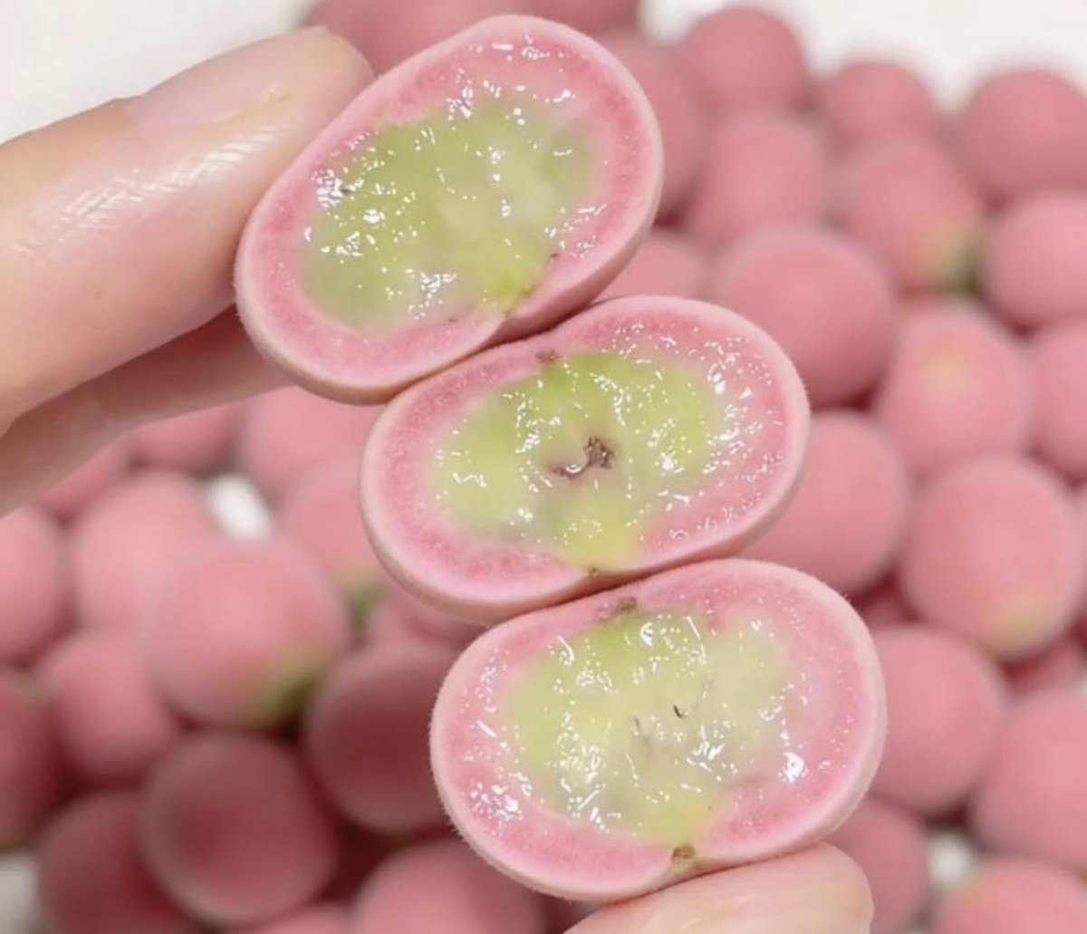 하이썸머 tweet media