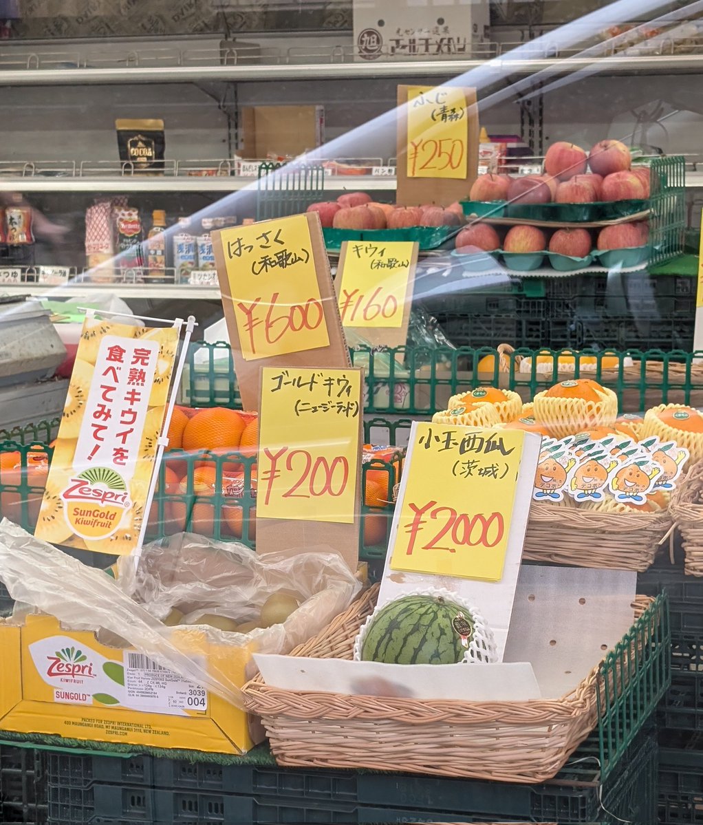 ホップめだか　ぷーたろー tweet media