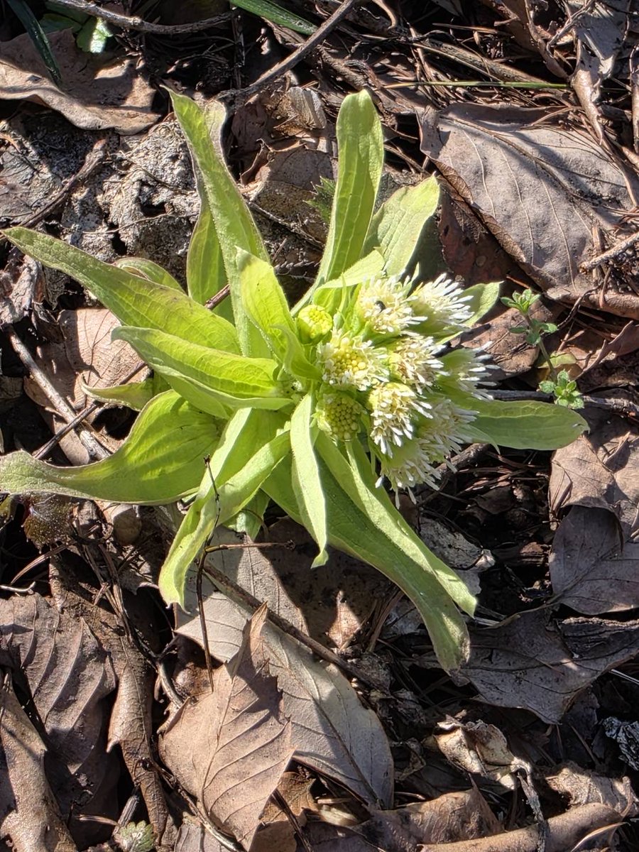 青葉旅館 tweet media