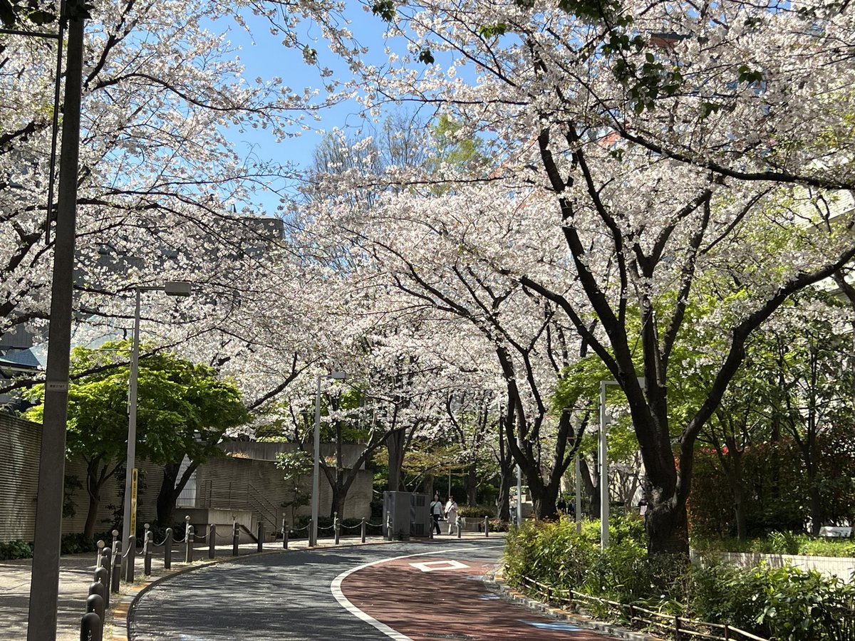 金欠の砂肝🐕 tweet media