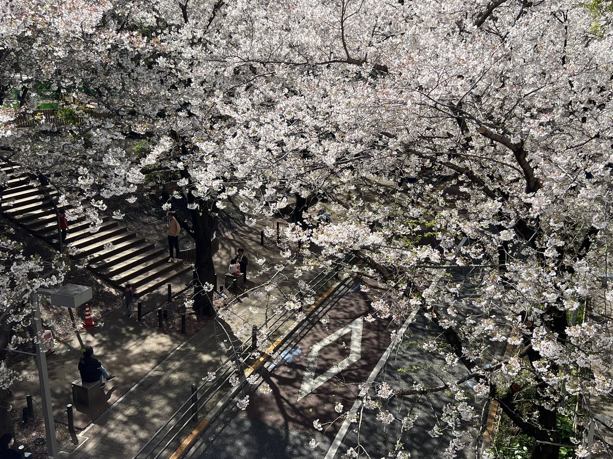 金欠の砂肝🐕 tweet media