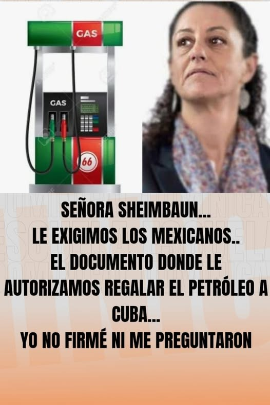 Eugenia Lara #MexicoNoEstaConlaDictadura tweet media