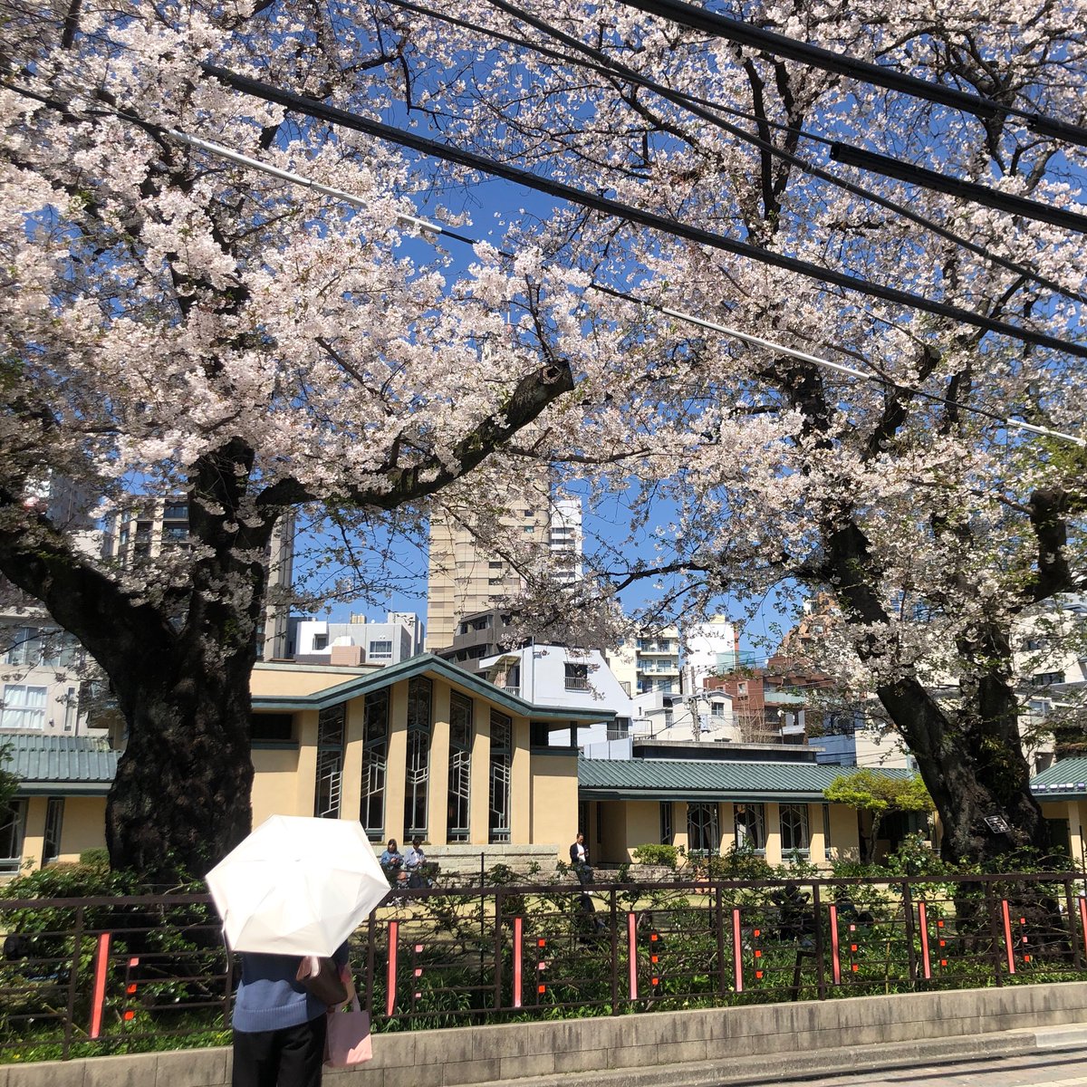 E-chang 金曜日はカレーの人 tweet media