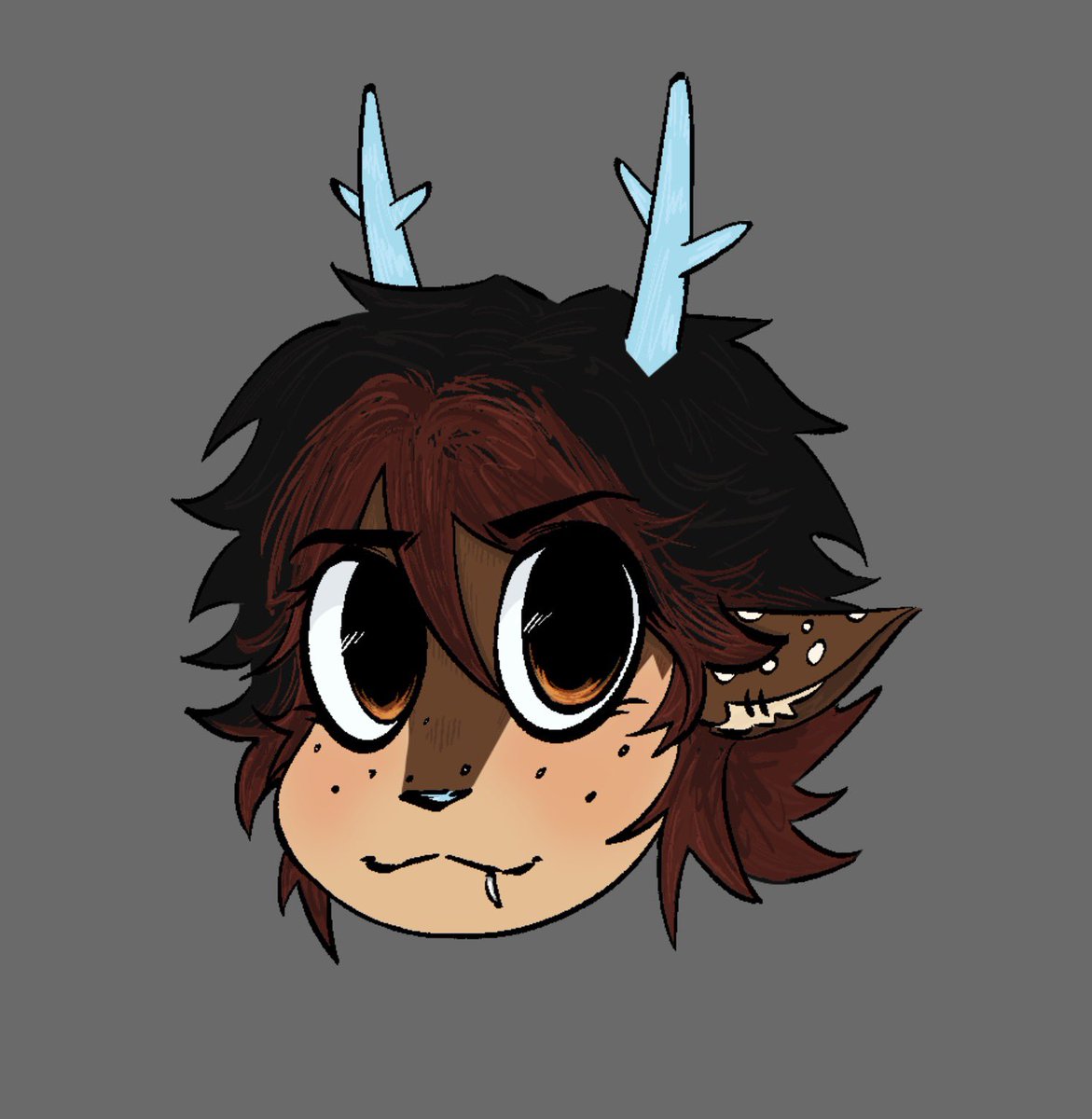 Shephard tweet media