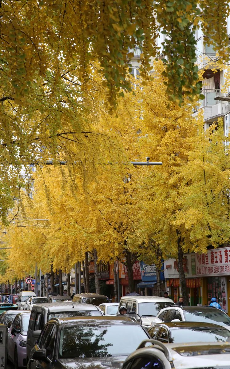 Melissa Pando tweet media