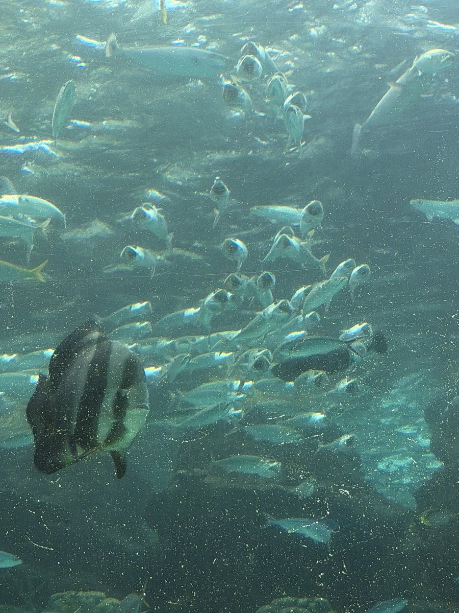 ᥬ😭ᩤ tweet media