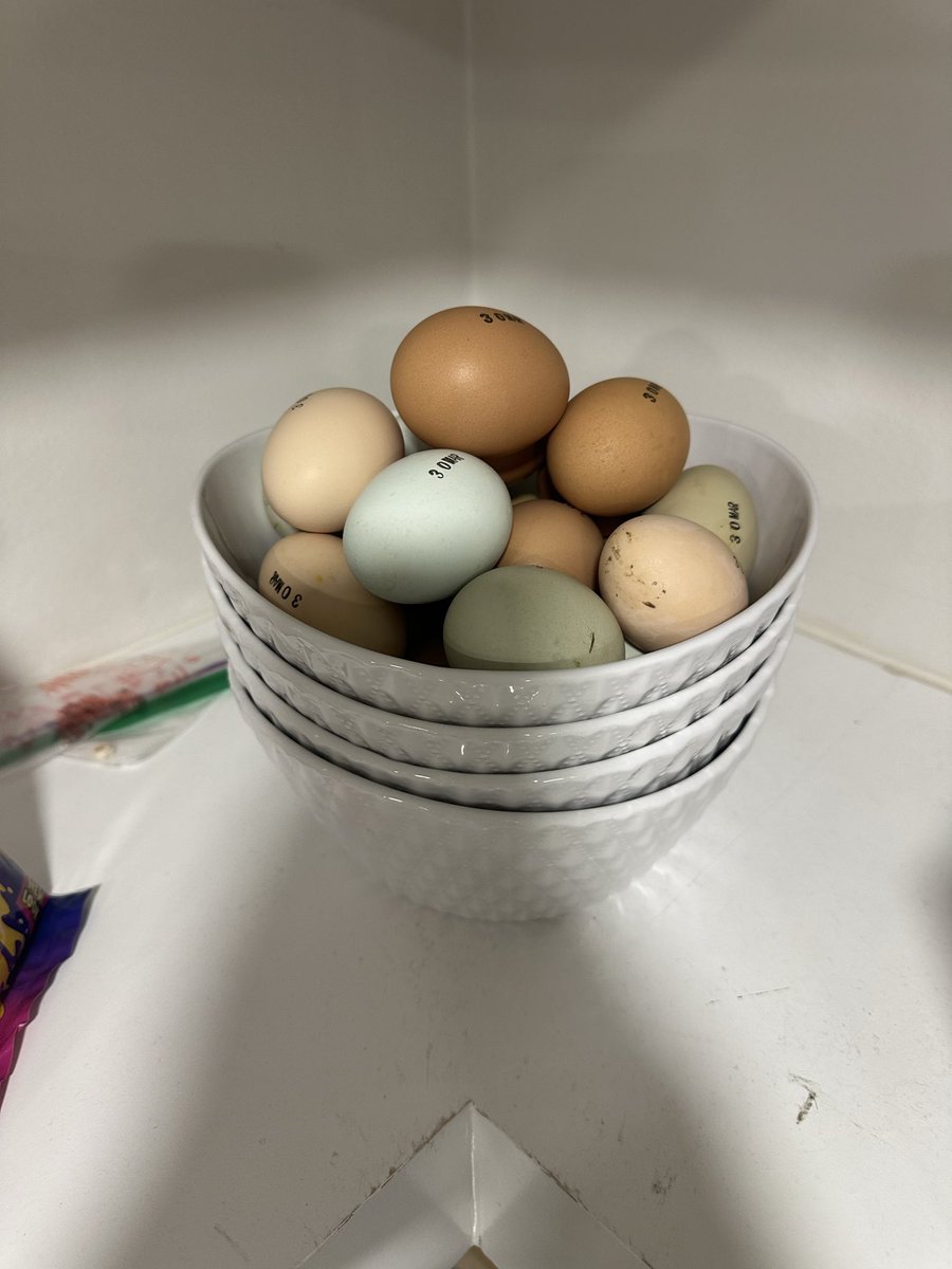 Joel Jenkins tweet media