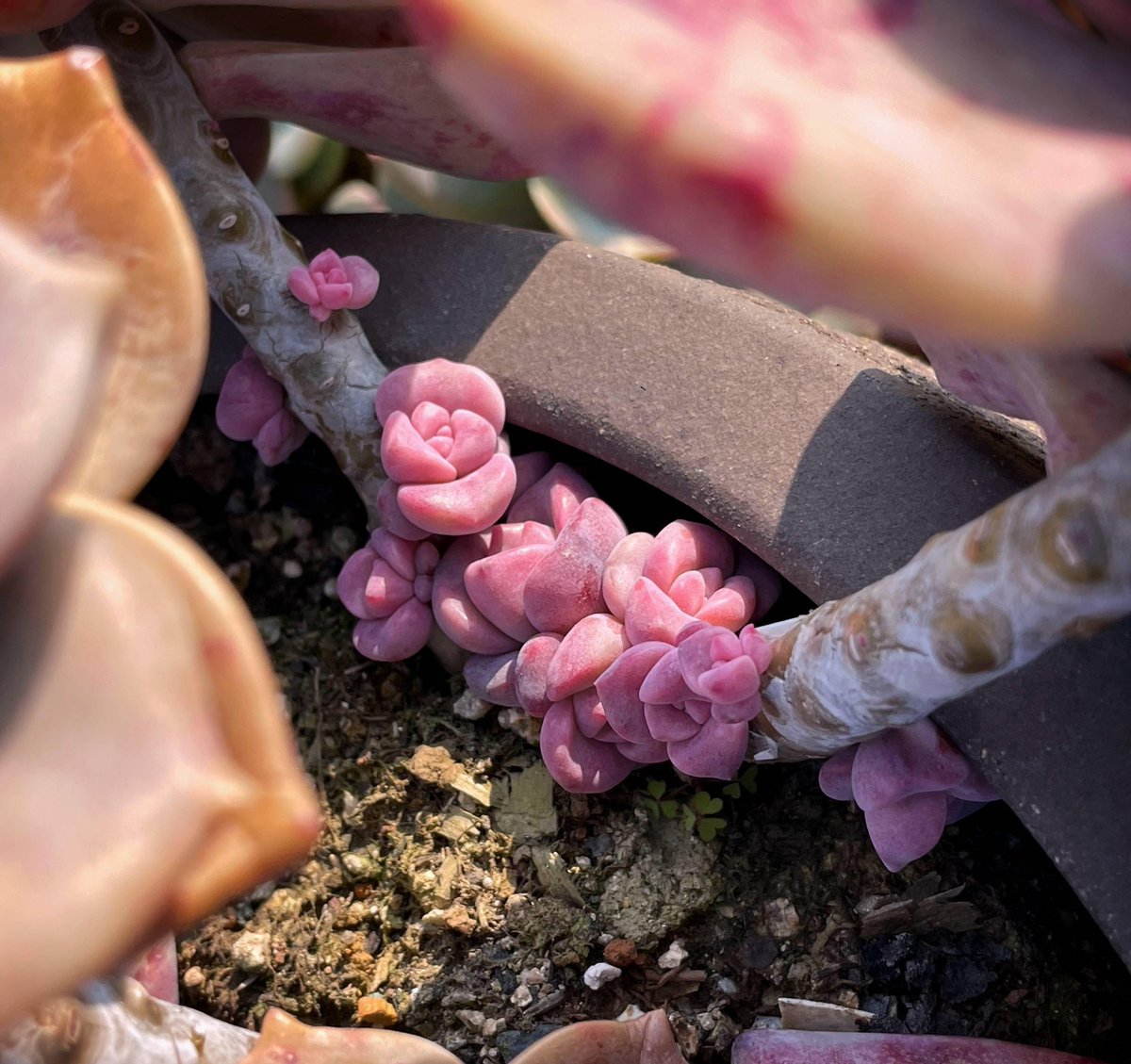 jennifer tweet media