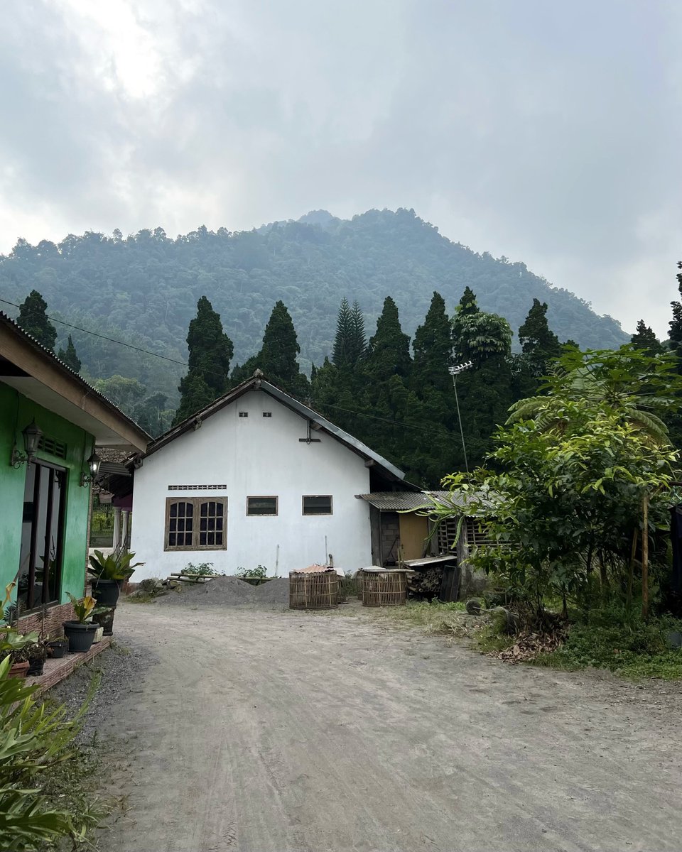 むーも tweet media