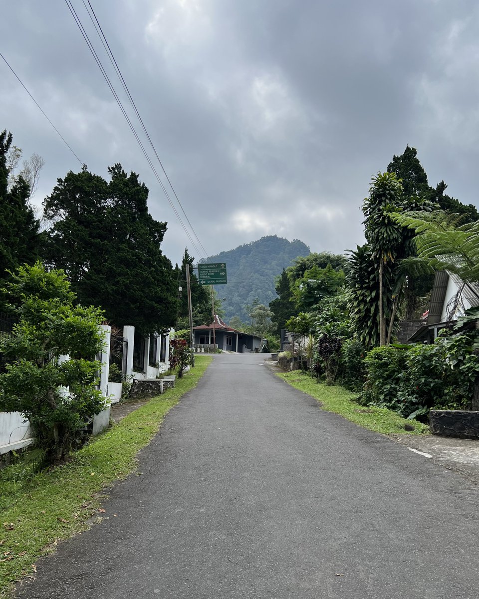 むーも tweet media