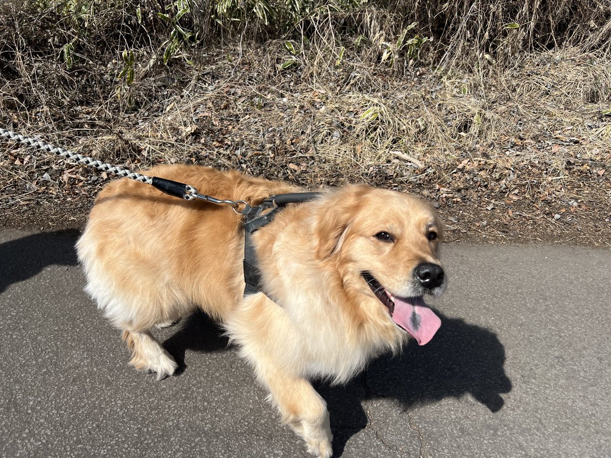 いざや tweet media