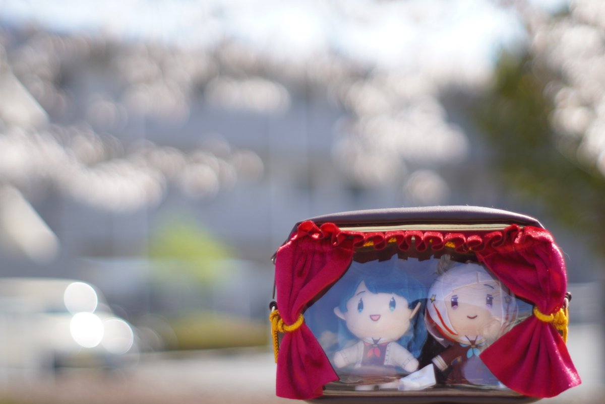 すいと🎺日常用 tweet media