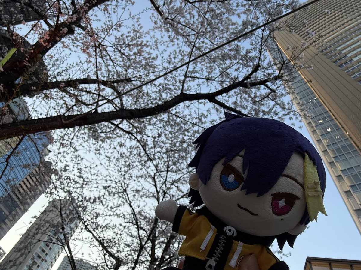 猫背いちご🐱🍋 tweet media