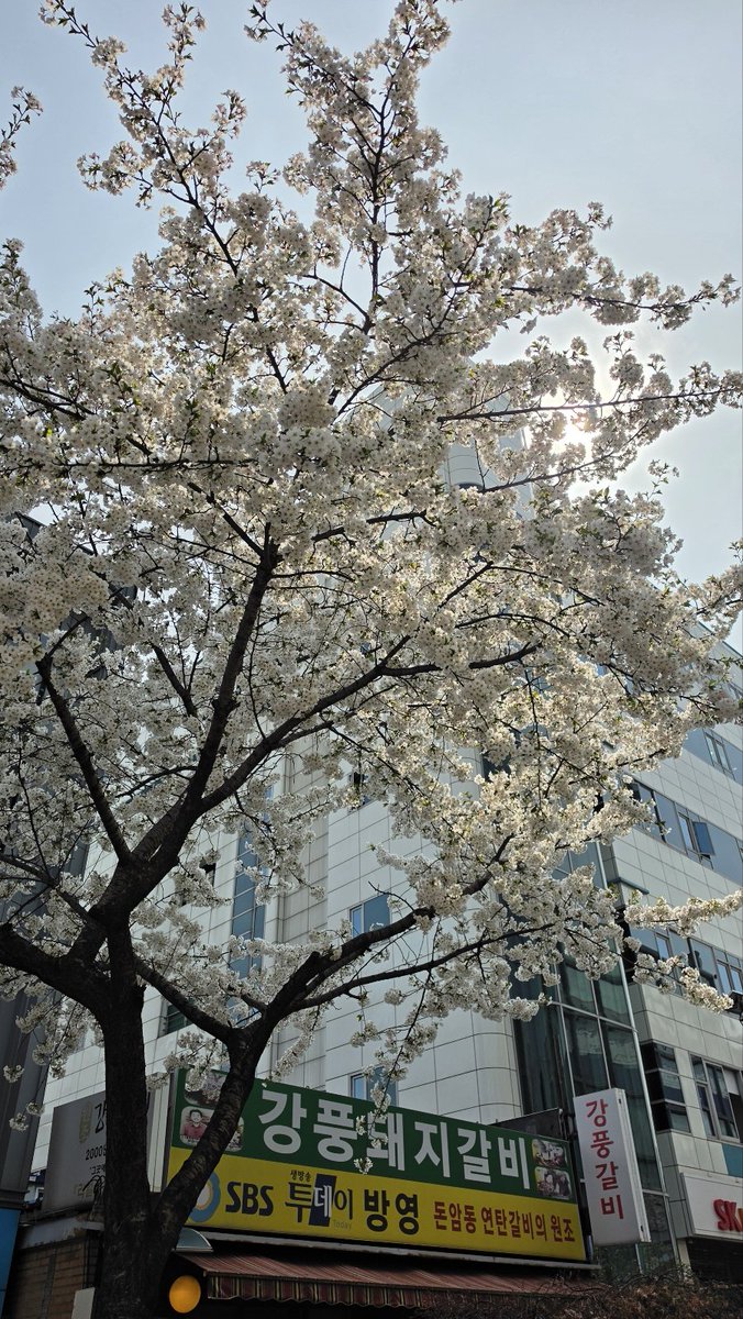 밤바리커플 tweet media