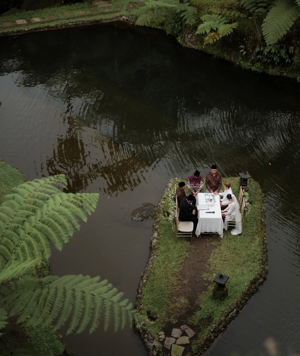 Miaowwww tweet media