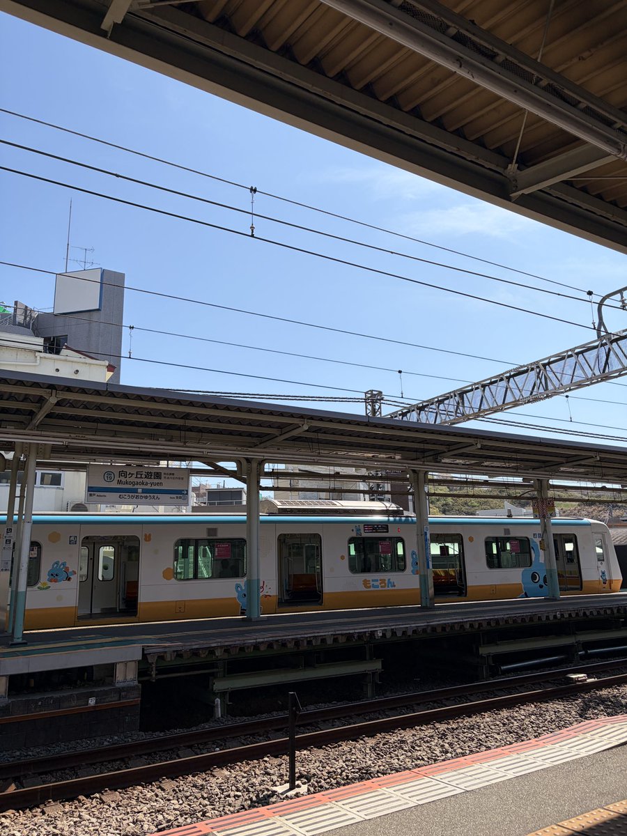 えのゆざ tweet media