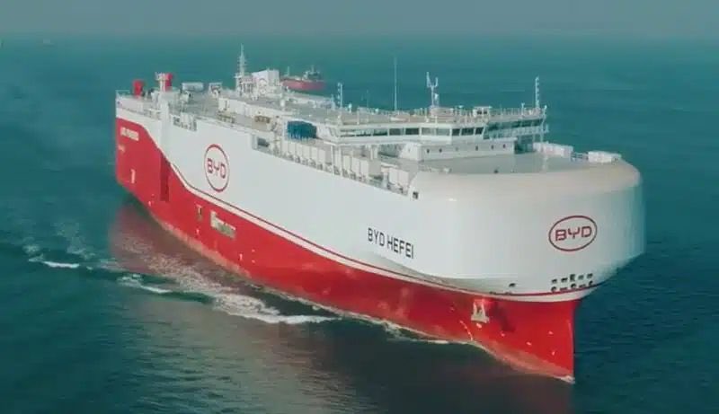 🥇 Pragnya Gupta tweet media