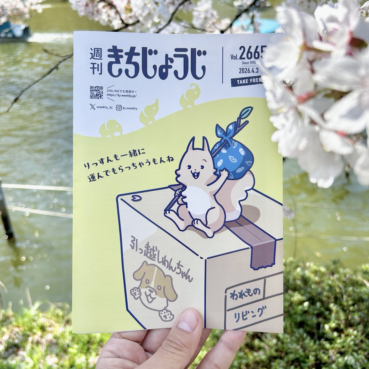 週刊きちじょうじ tweet media