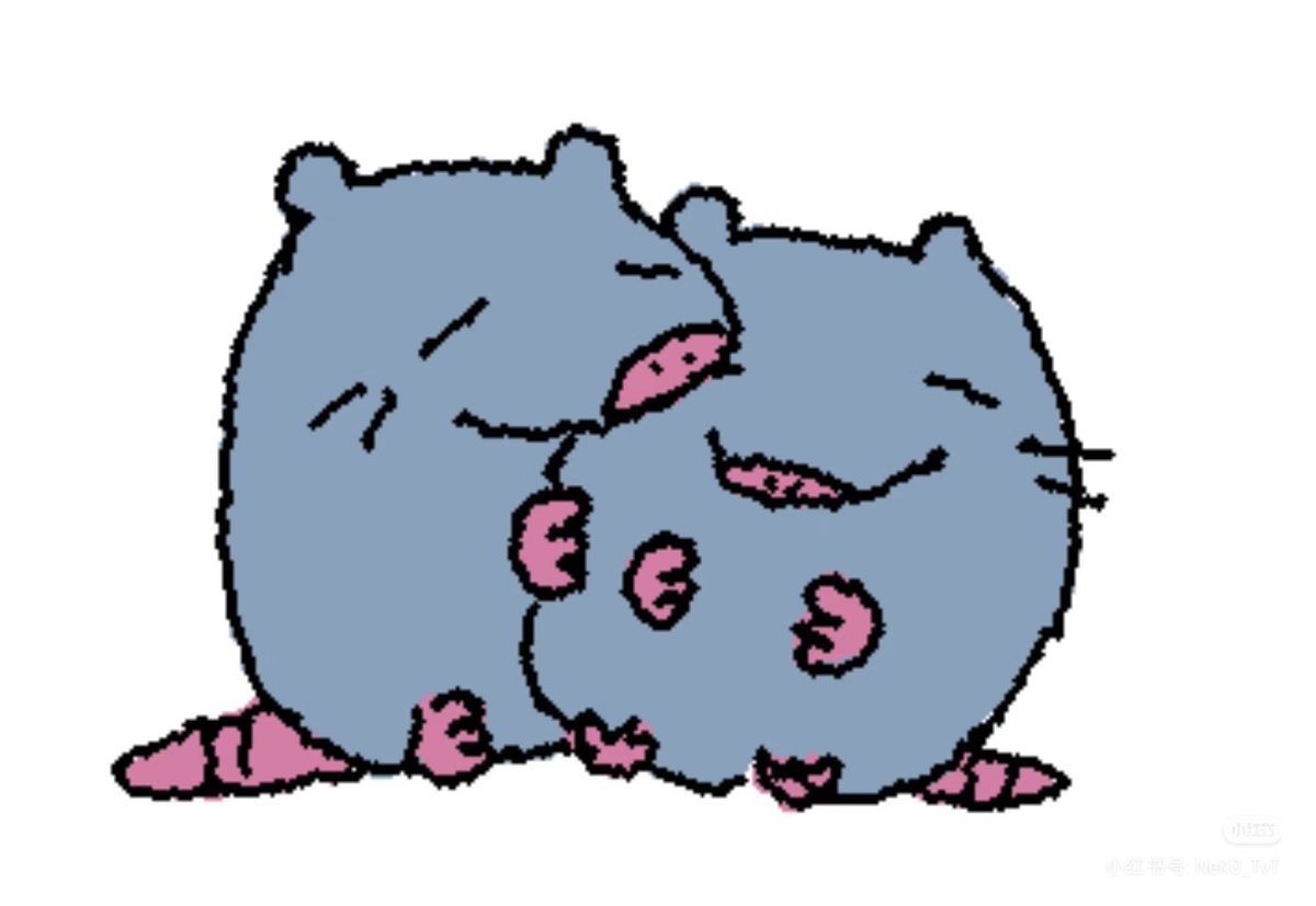 花生猫🔞 tweet media