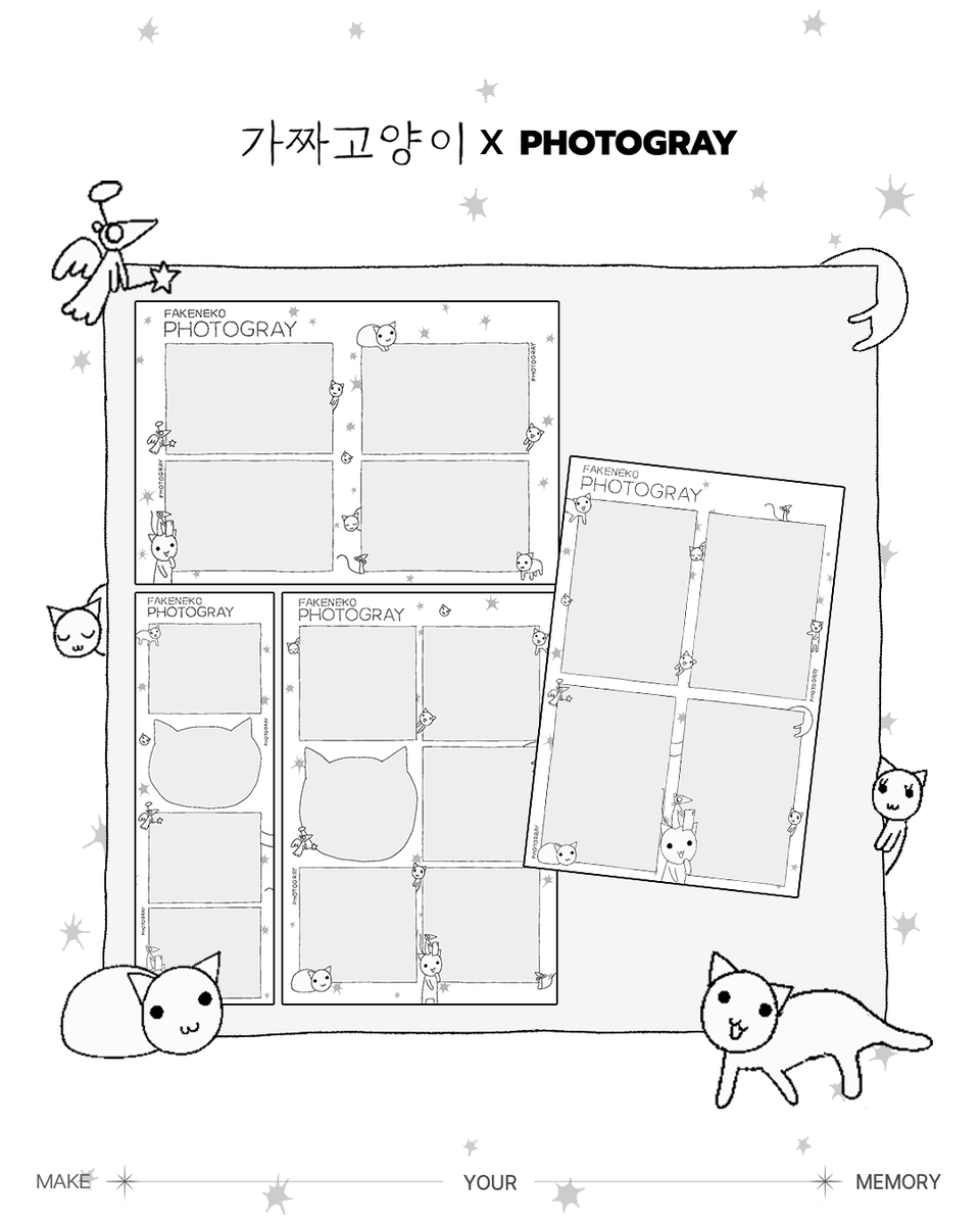 포토그레이 tweet media