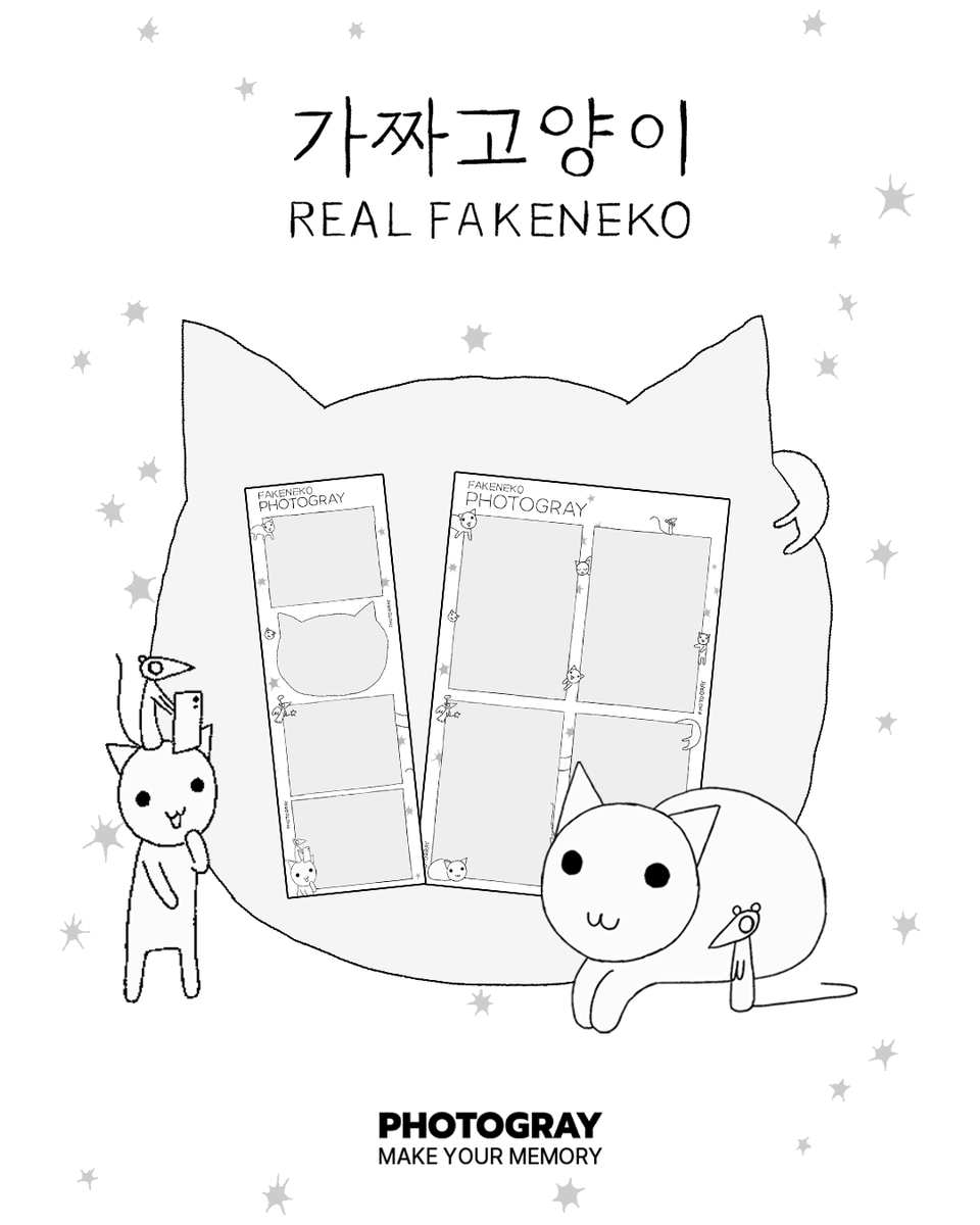 포토그레이 tweet media