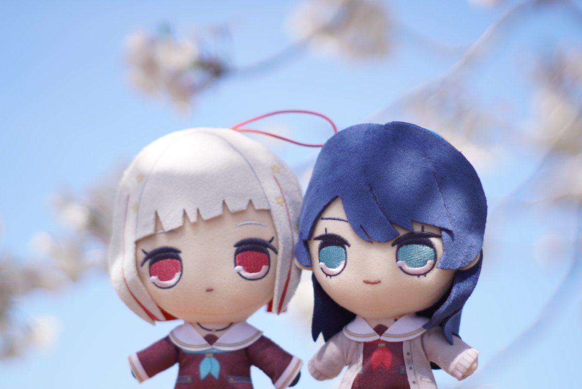 すいと🎺日常用 tweet media