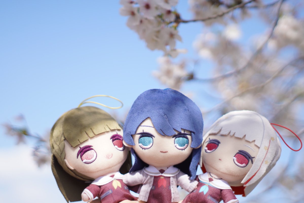 すいと🎺日常用 tweet media