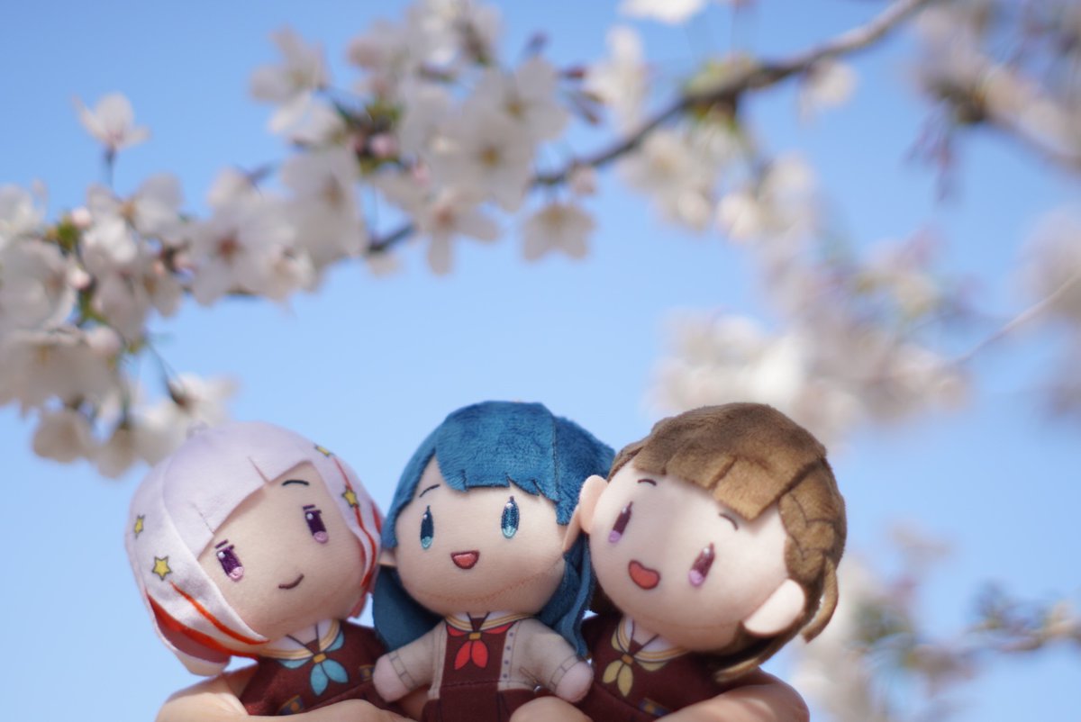 すいと🎺日常用 tweet media