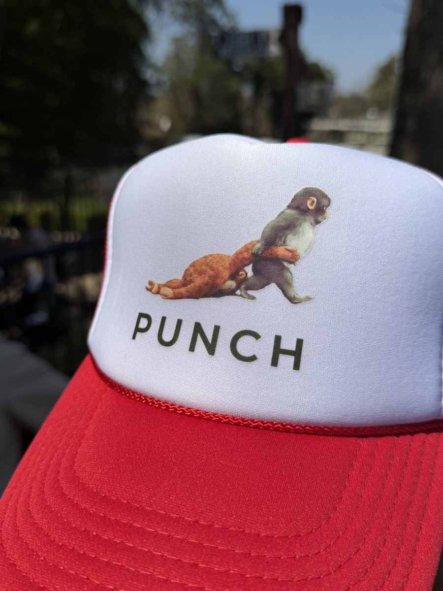 Wish ʕ•́ᴥ•̀ʔっ🌟 tweet media