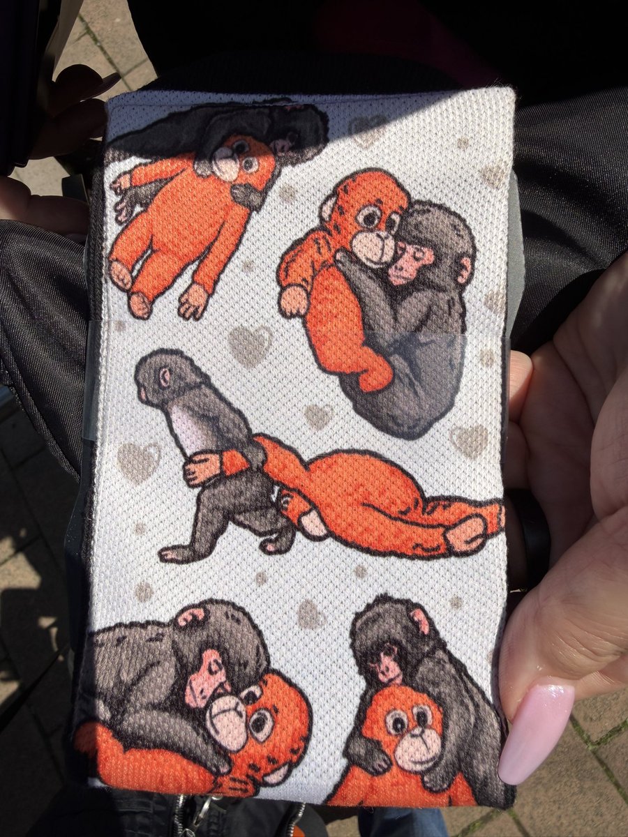 Wish ʕ•́ᴥ•̀ʔっ🌟 tweet media