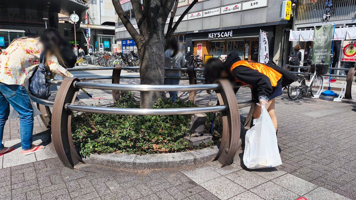 秋葉原案内所 tweet media