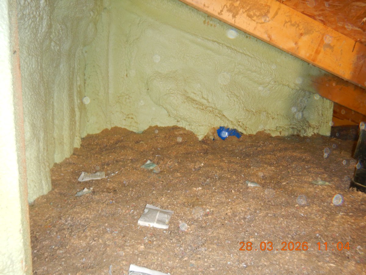 ⭐️NosArtisansOntDuTalent ⭐️ tweet media