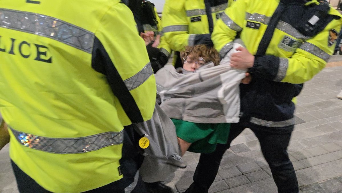 김아누 tweet media