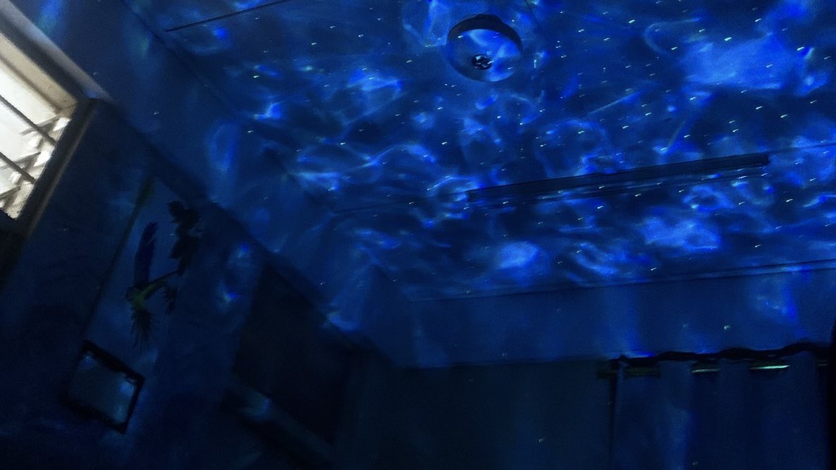 ren (sieun’s version) tweet media