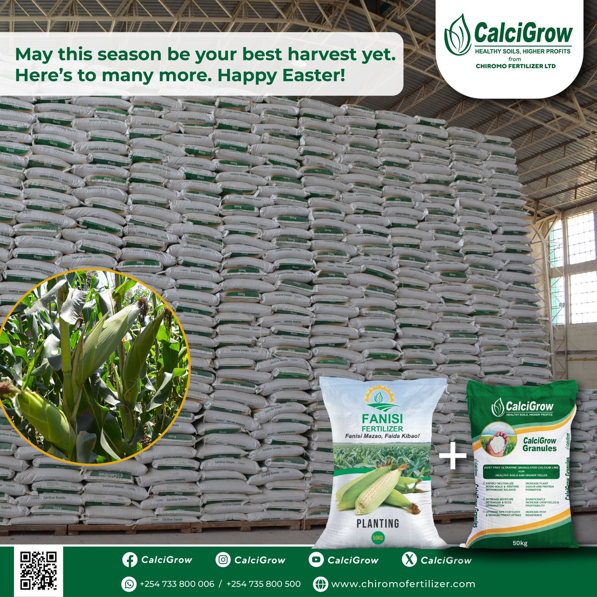 CalcigrowGranul's tweet photo. Healthier soils. Stronger crops. Happier farmers. Happy Easter!
#Happyeaster2026 https://t.co/Yi8TOWDjQk