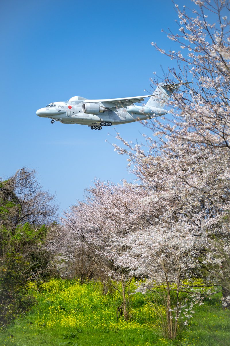 M0GURA_'s tweet photo. Standoff Jammer
Kawasaki EC-2
2026.4.3 RJNG https://t.co/F9s12mFmSI