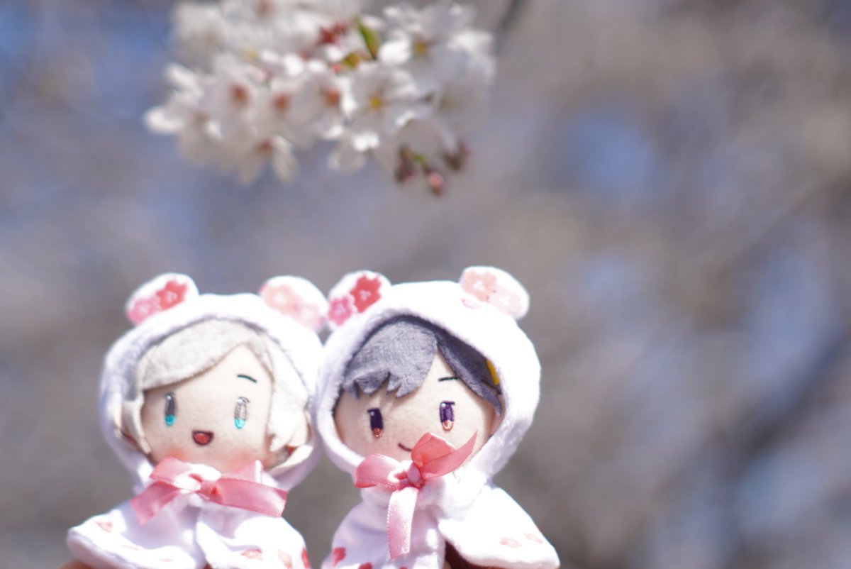 すいと🎺日常用 tweet media