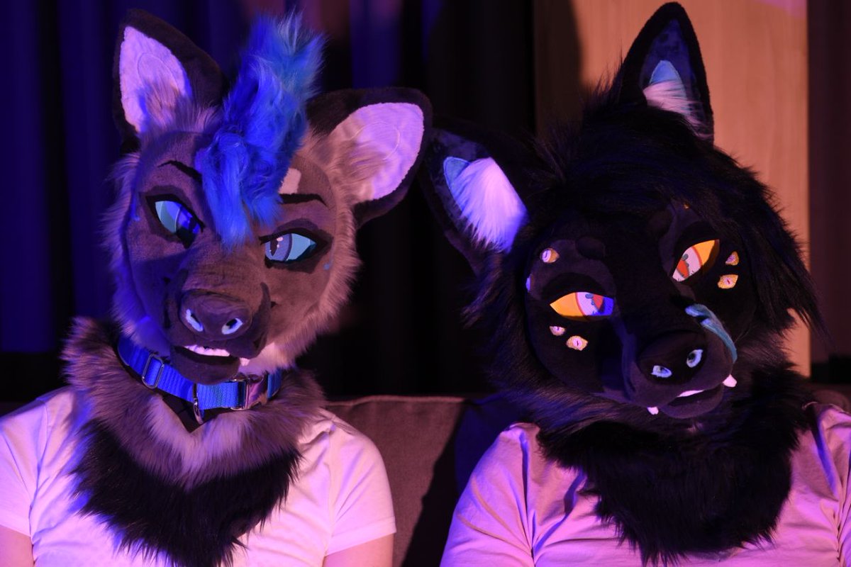 Markus Bruckmüller tweet media