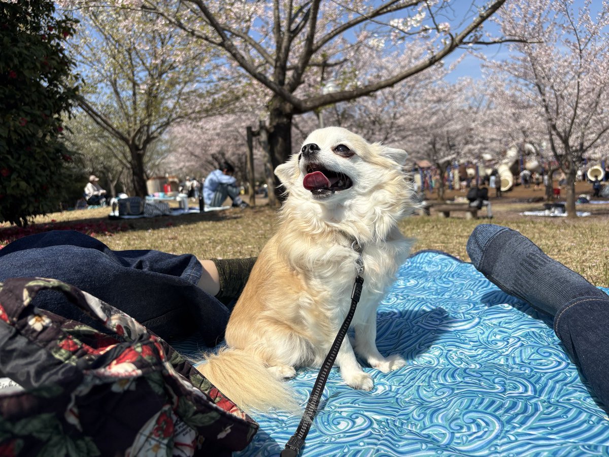 あやたん৺̎⃝★ tweet media