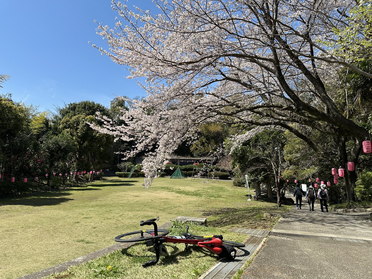 Masami Ishii@境川のmasa tweet media