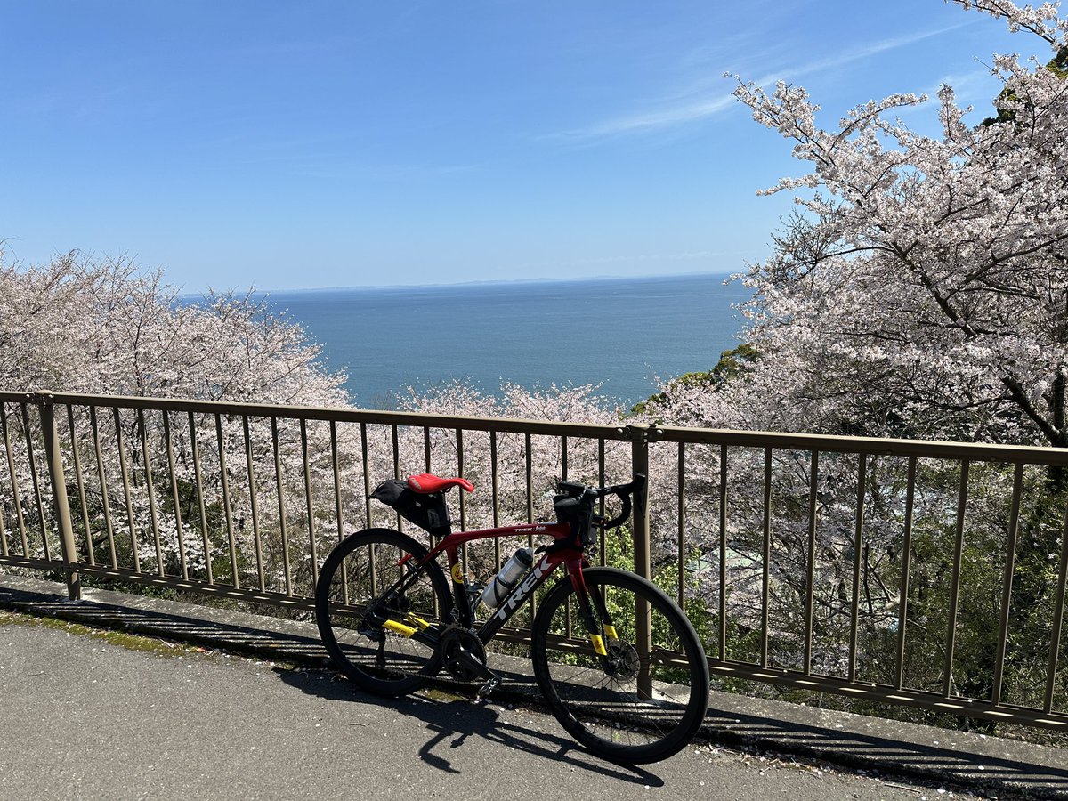Masami Ishii@境川のmasa tweet media