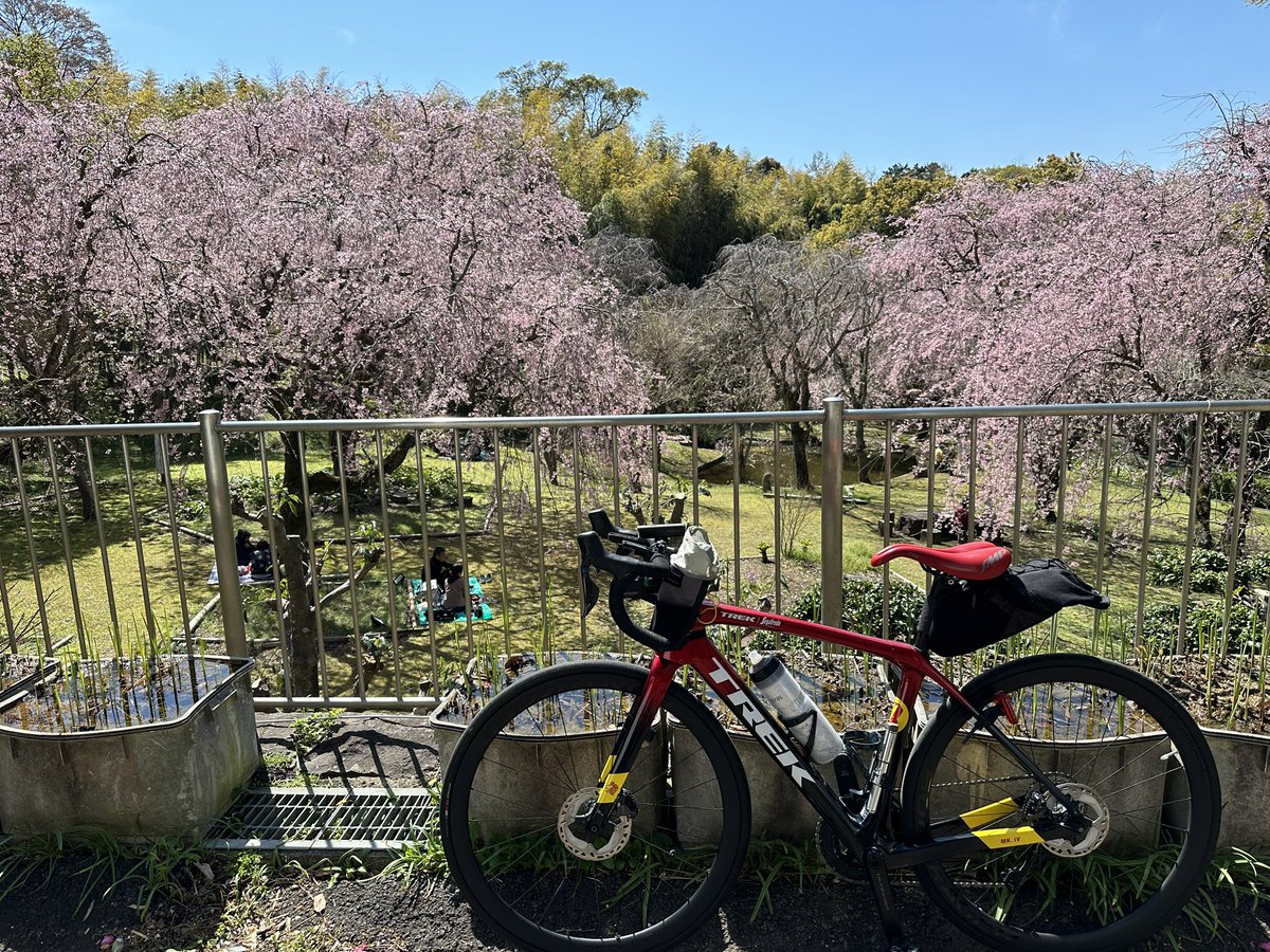 Masami Ishii@境川のmasa tweet media