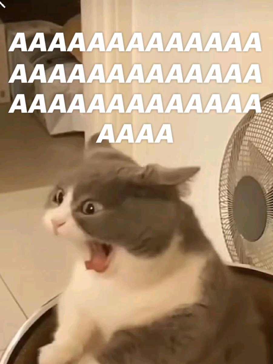 Anshika Chouhan tweet media