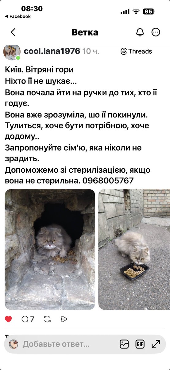 Миронова Наталія tweet media