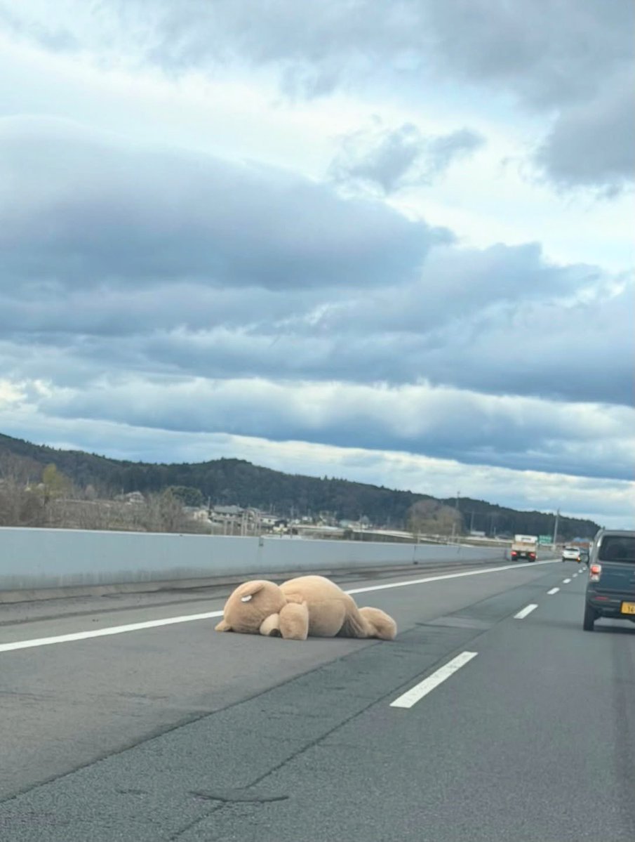 ネットで話題の動画 tweet media