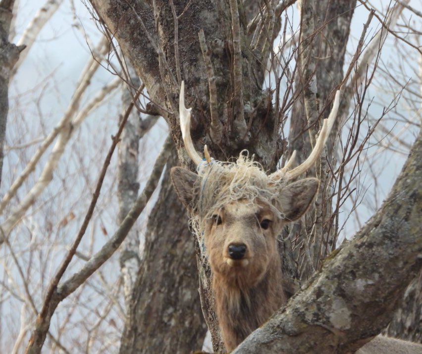 Cabanon44262662552 tweet media