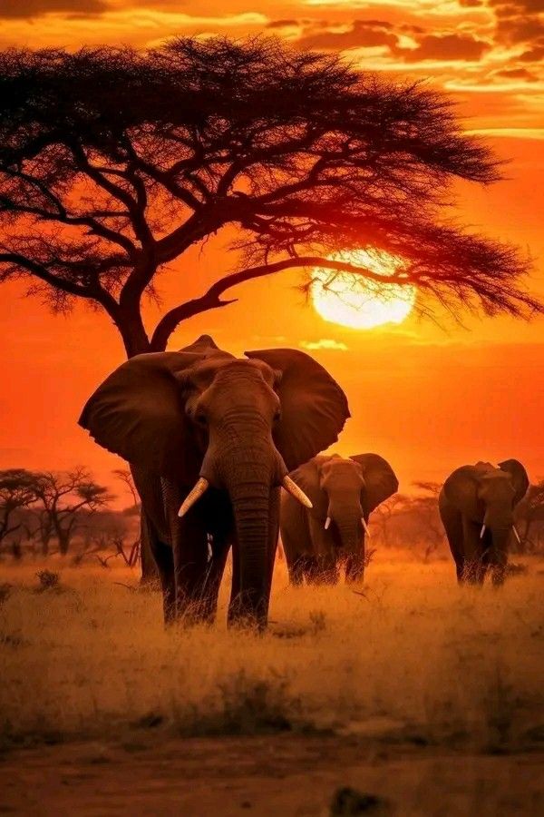 Wonderful (@wonderful1s) on Twitter photo 