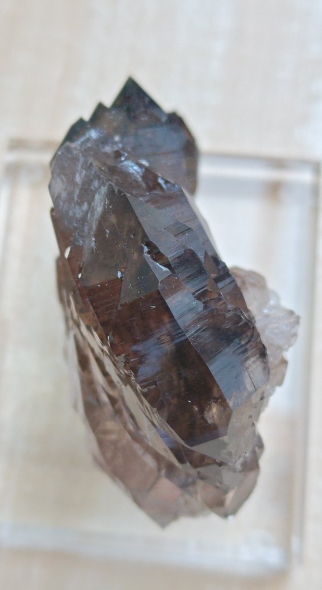 ひばち tweet media